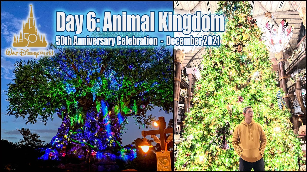 Disney's 50th Anniversary Vacation [Day 6] - Animal Kingdom [XMAS 2021]